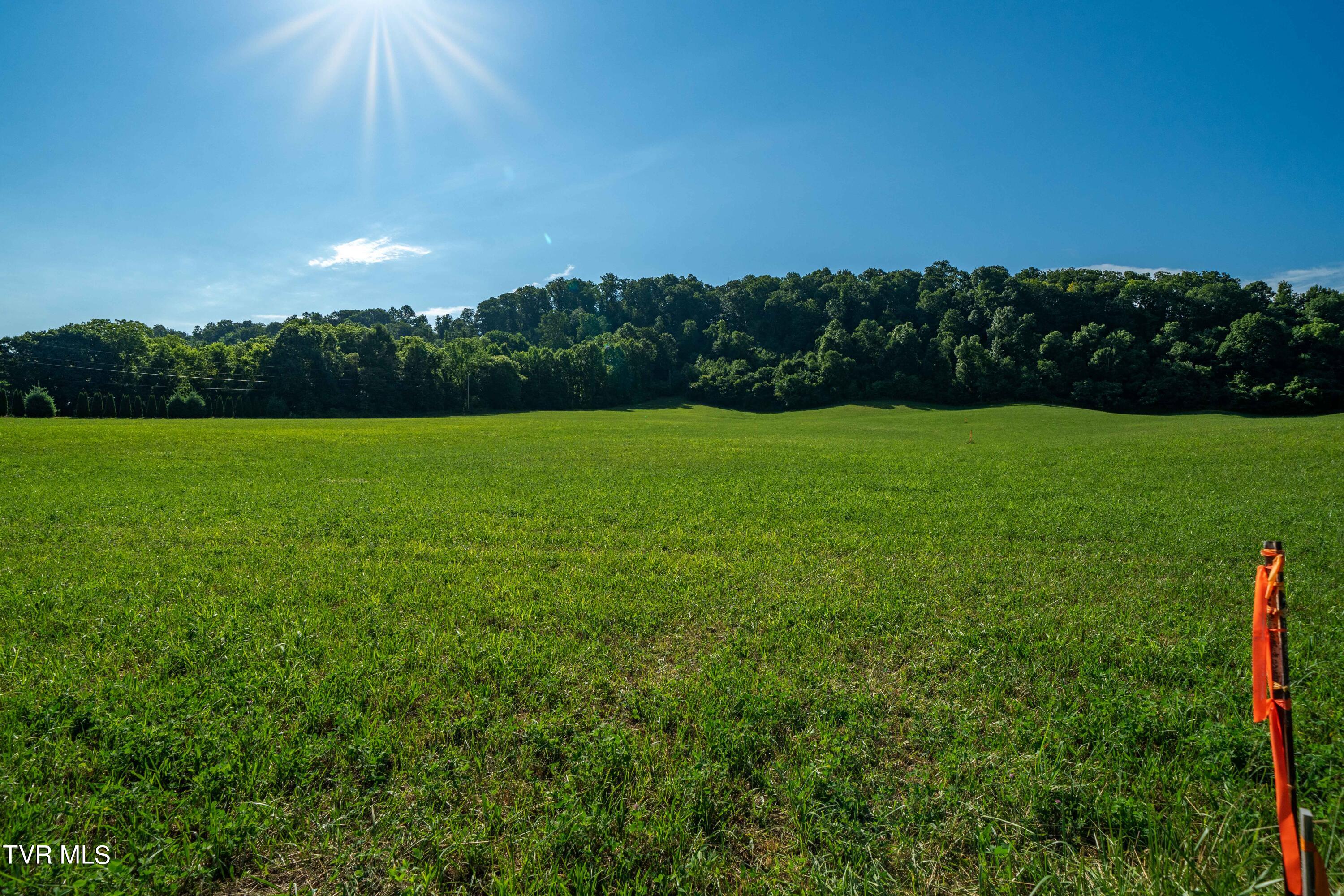 Tbd Carroll Creek Road, Johnson City, Tennessee image 36