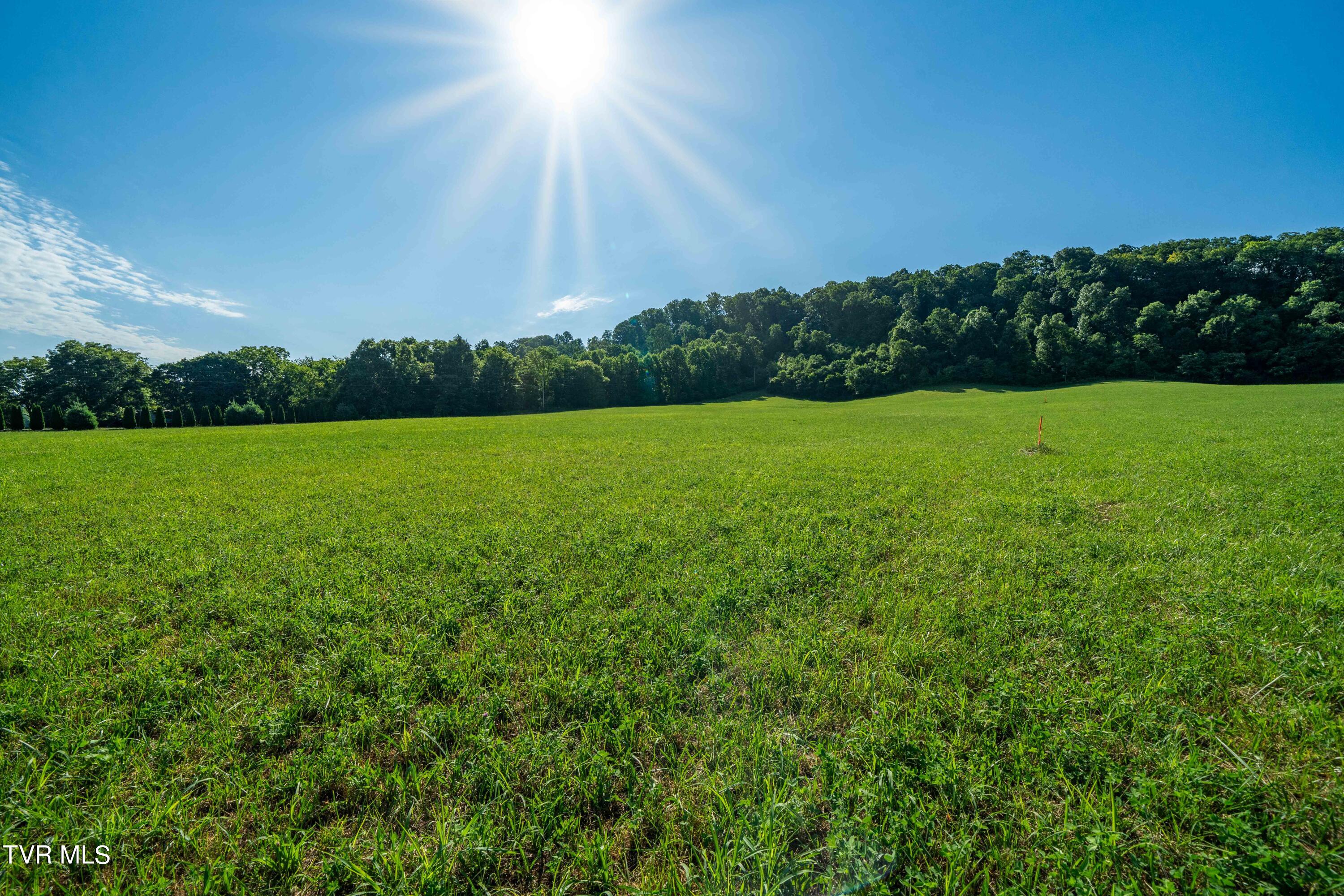 Tbd Carroll Creek Road, Johnson City, Tennessee image 38