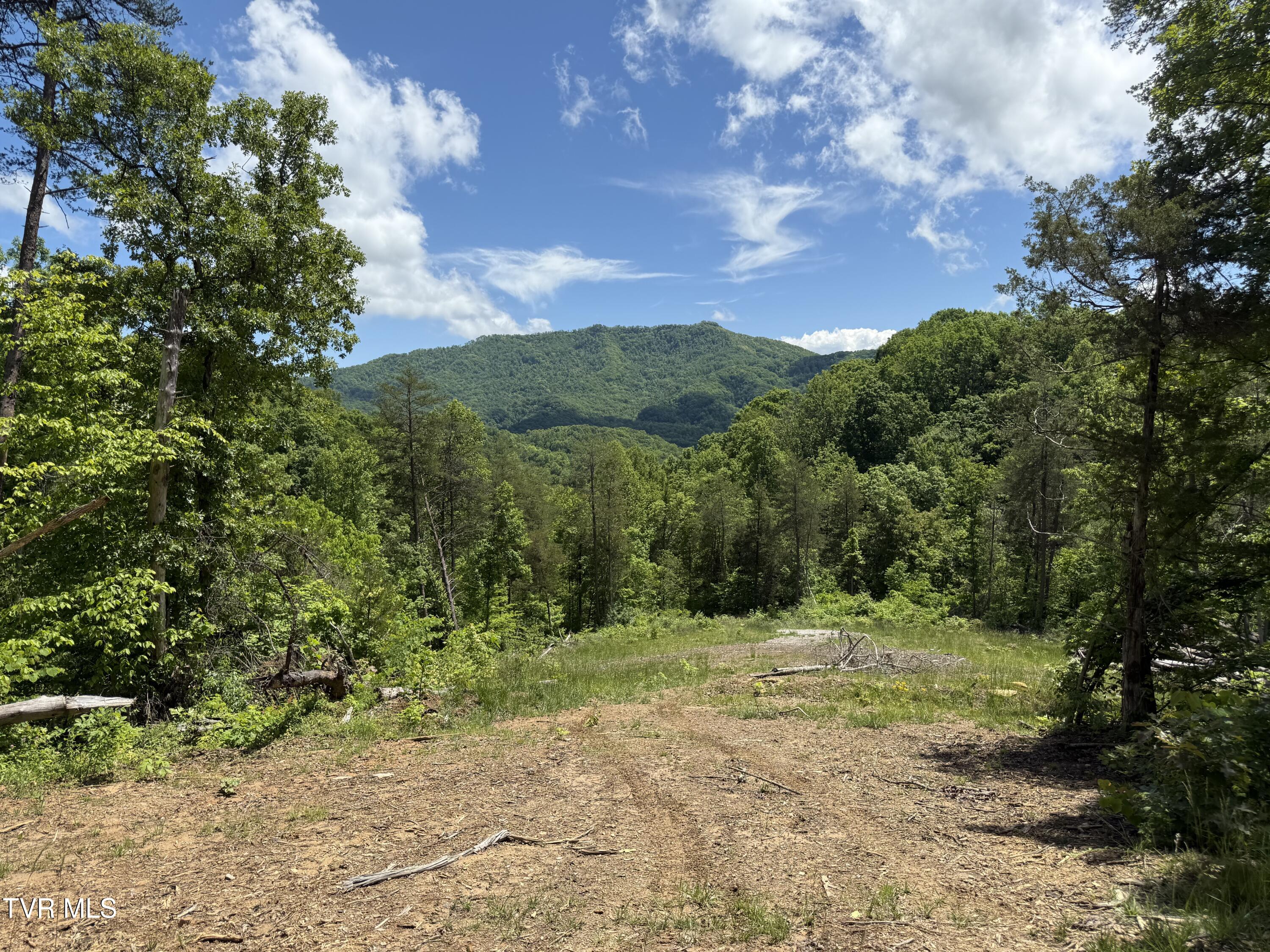 146/Ac Tbd Simpson Loop, Rogersville, Tennessee image 1