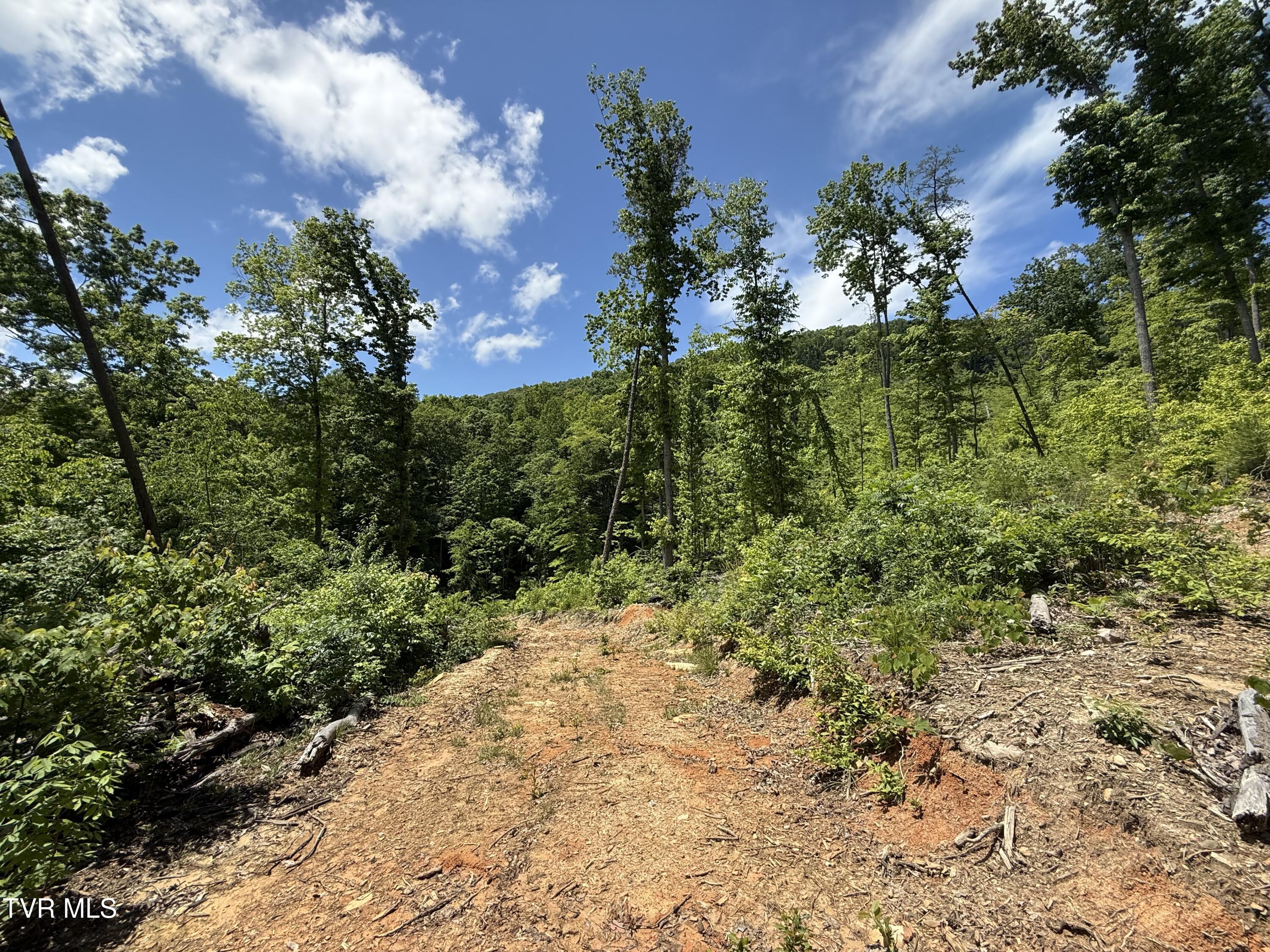 146/Ac Tbd Simpson Loop, Rogersville, Tennessee image 17