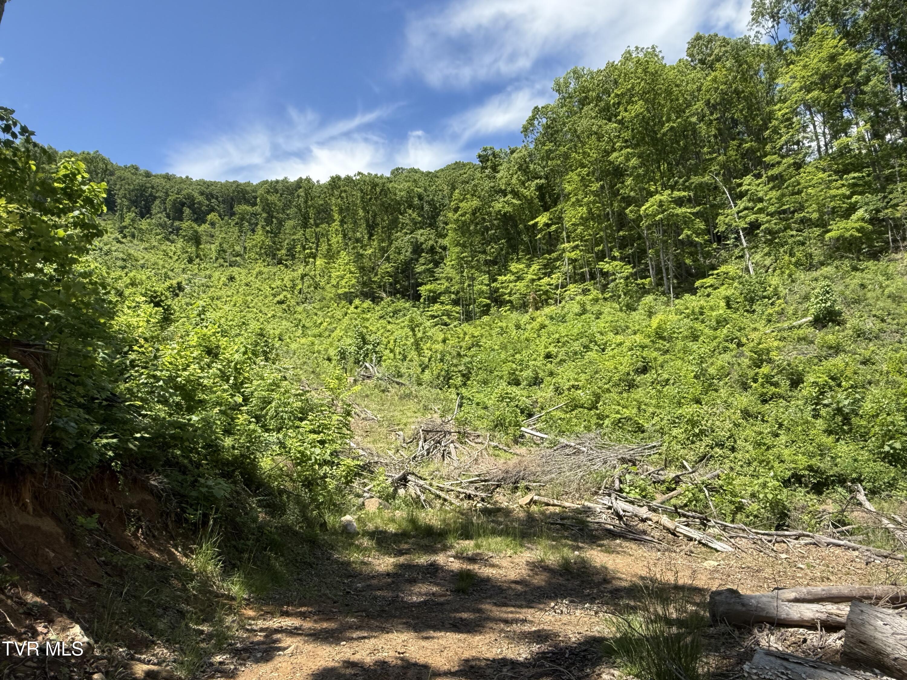 146/Ac Tbd Simpson Loop, Rogersville, Tennessee image 12