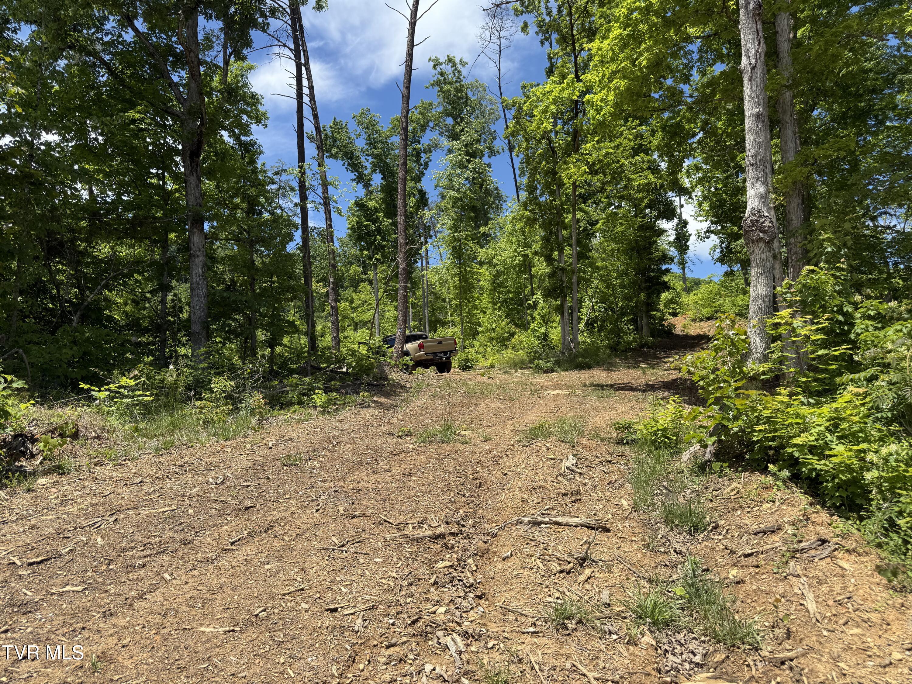 146/Ac Tbd Simpson Loop, Rogersville, Tennessee image 8