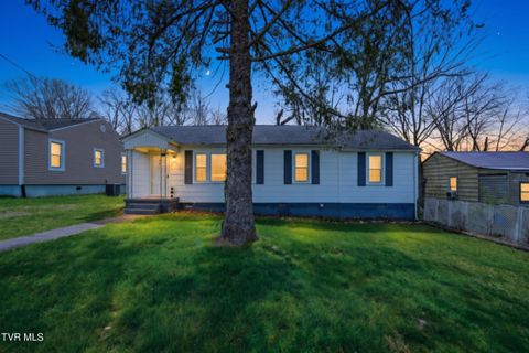 Photo of 302 Hale Street, Bristol, TN 37620 (MLS # 9993909)