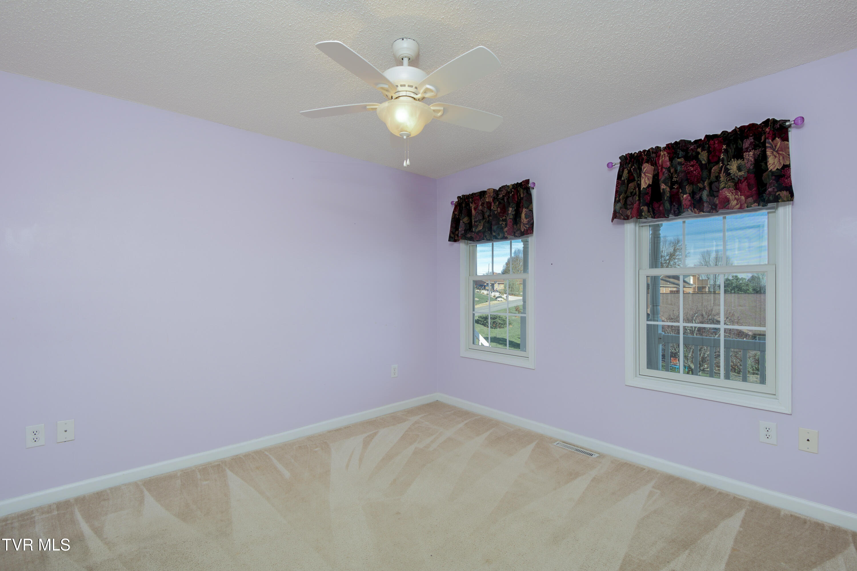 323 Beverly Dr Drive, Abingdon, Virginia image 19