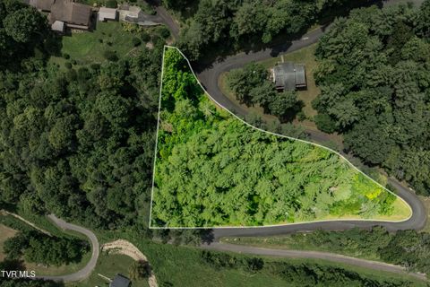 Vacant Land For Sale - LOT 1 Lake Ridge Road<br/> Johnson County, Butler, TN 37640