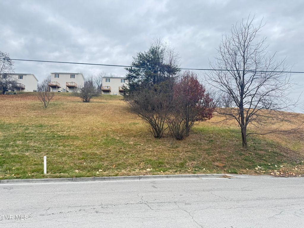 Photo of Tbd Clark Street, Abingdon, VA 24210 (MLS # 9988506)