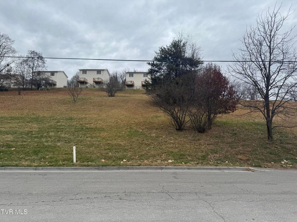 Photo of Tbd Clark Street, Abingdon, VA 24210 (MLS # 9988506)