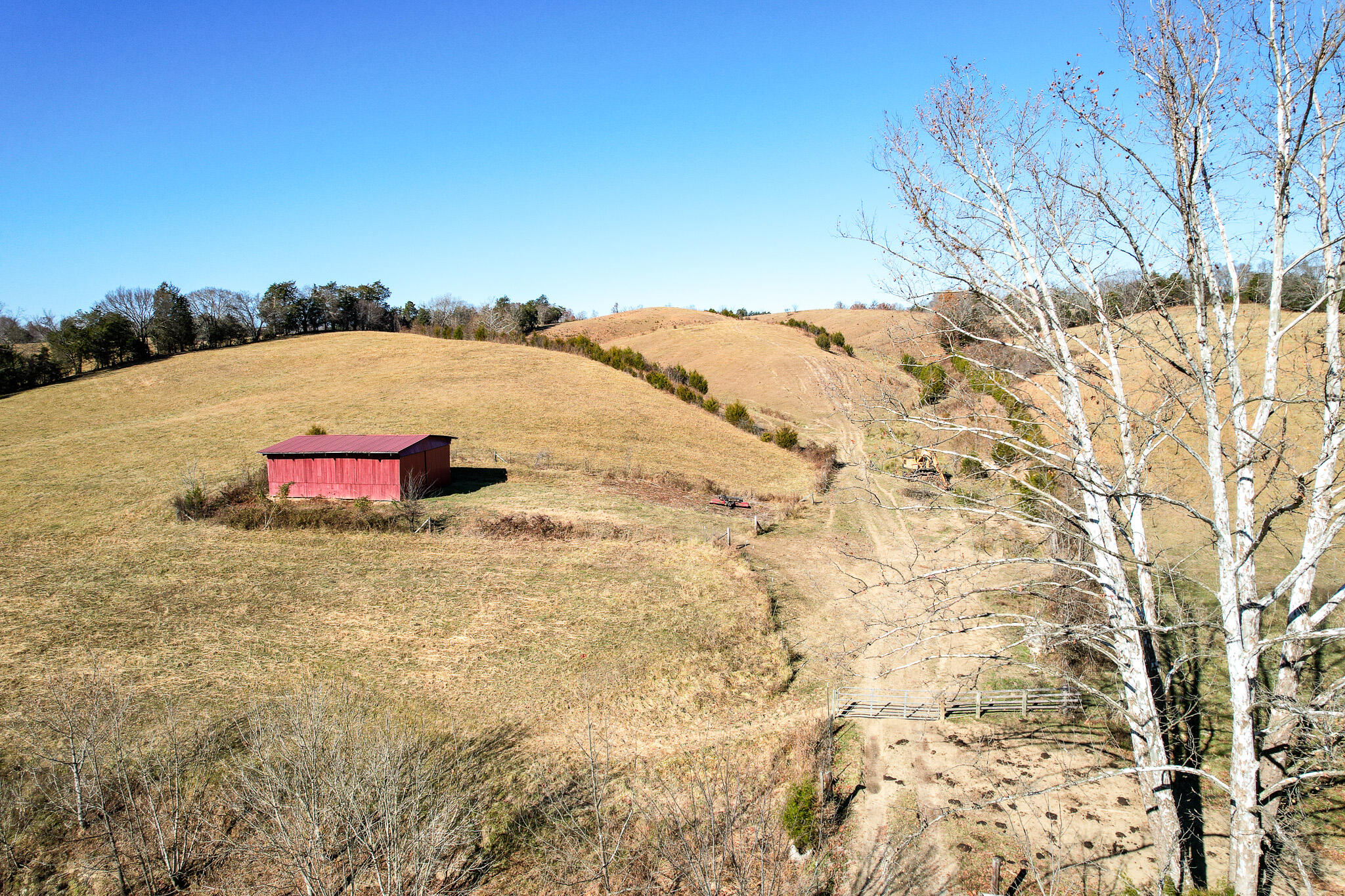 53.5 Acres Hoover Road, Greeneville, Tennessee image 8