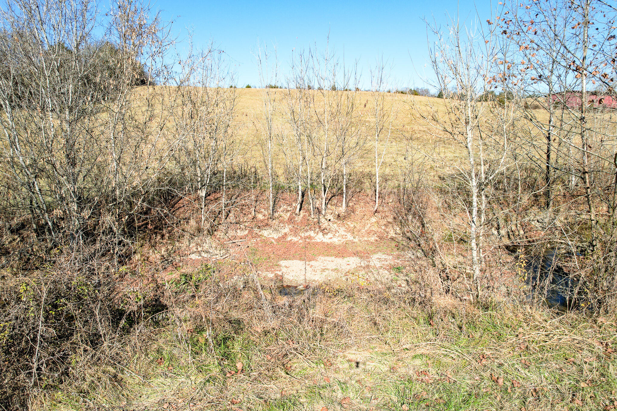 53.5 Acres Hoover Road, Greeneville, Tennessee image 11