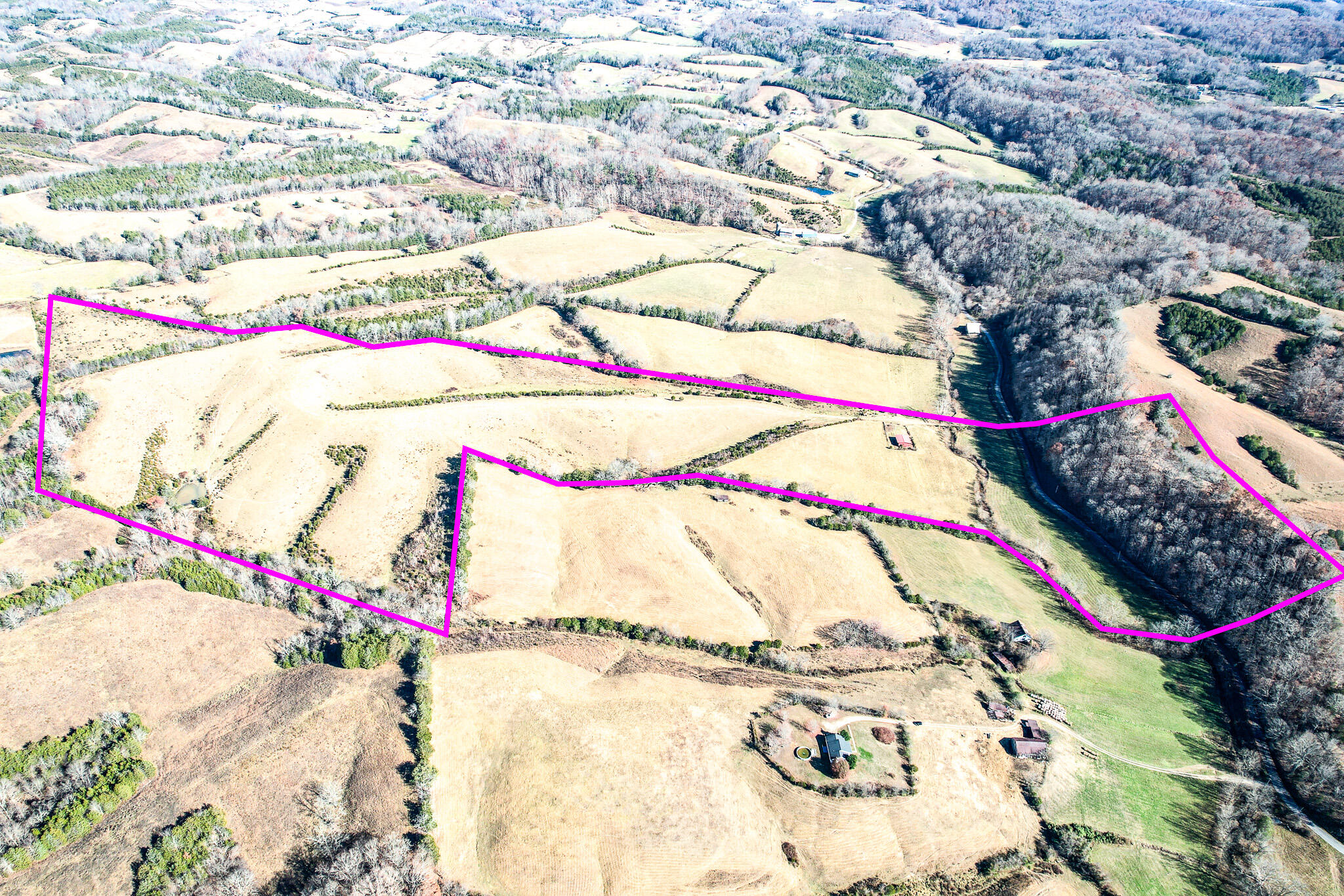 53.5 Acres Hoover Road, Greeneville, Tennessee image 4