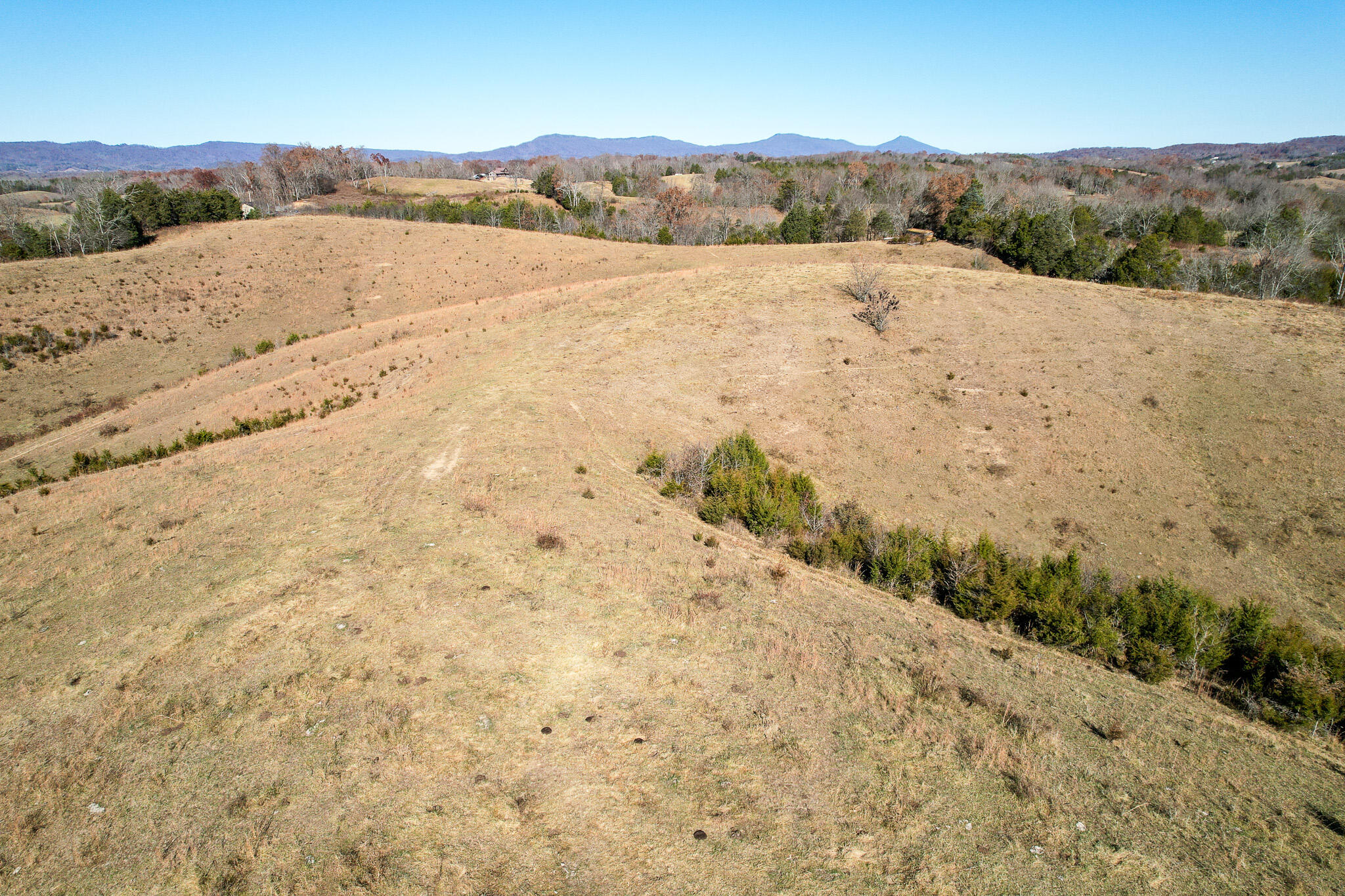 53.5 Acres Hoover Road, Greeneville, Tennessee image 14
