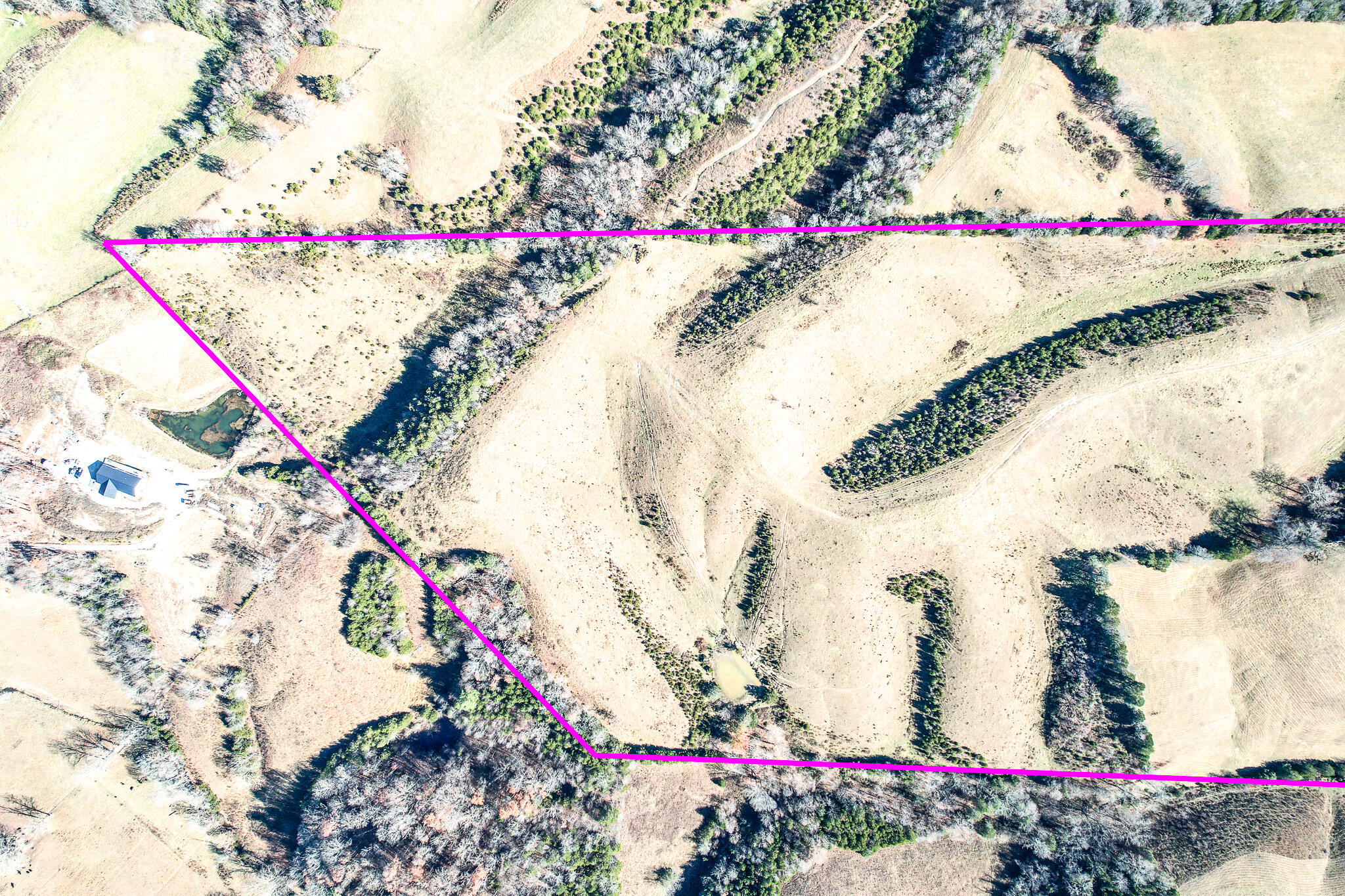 53.5 Acres Hoover Road, Greeneville, Tennessee image 6