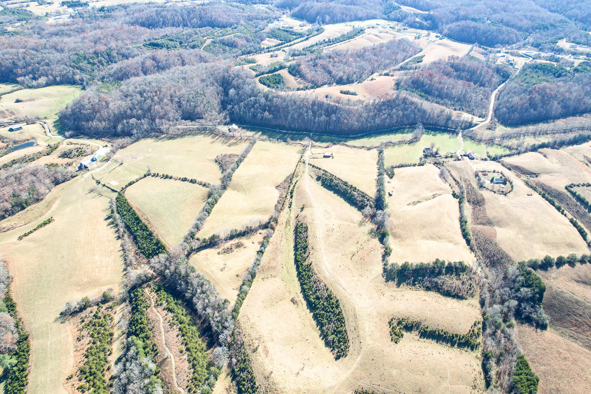 53.5 Acres Hoover Road, Greeneville, Tennessee image 7