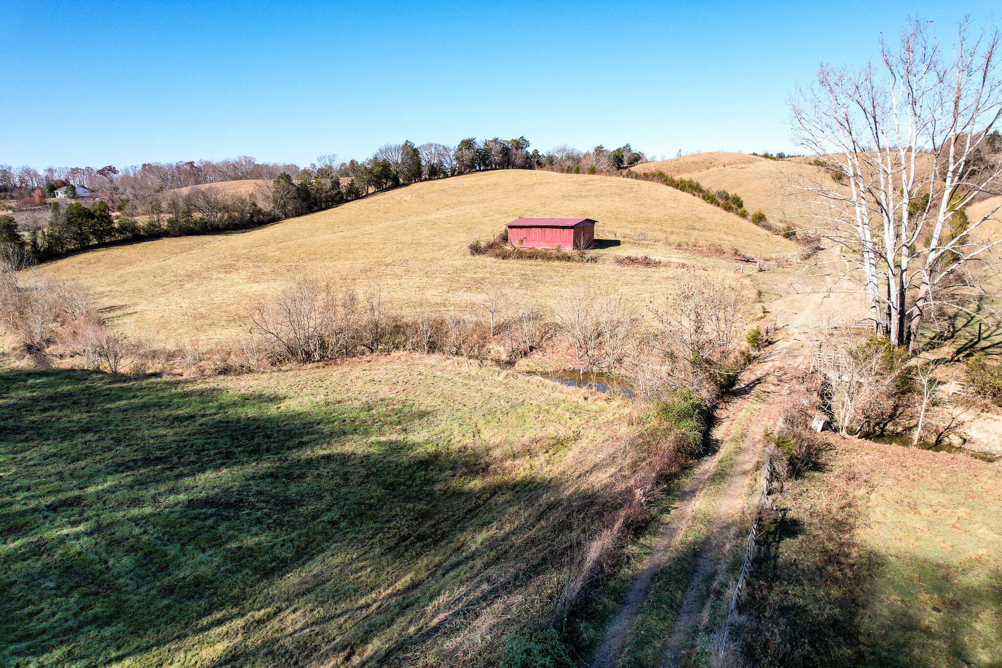53.5 Acres Hoover Road, Greeneville, Tennessee image 1