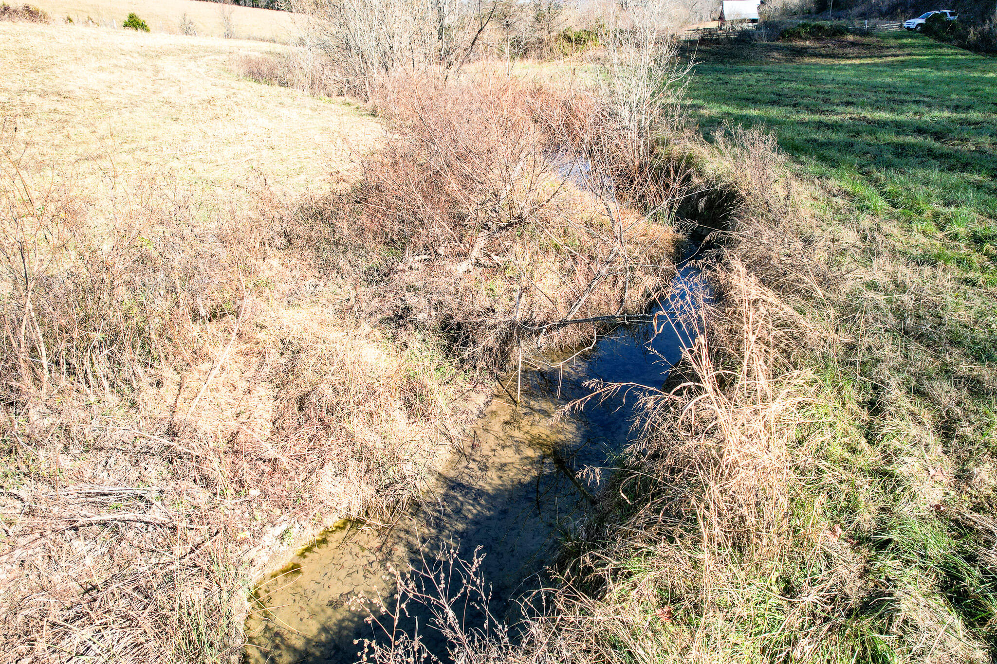 53.5 Acres Hoover Road, Greeneville, Tennessee image 10
