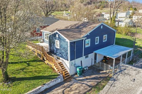 525 Terry Drive Bristol VA 24201