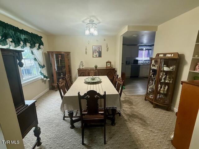 1000 King Springs Road, Johnson City, Tennessee image 23
