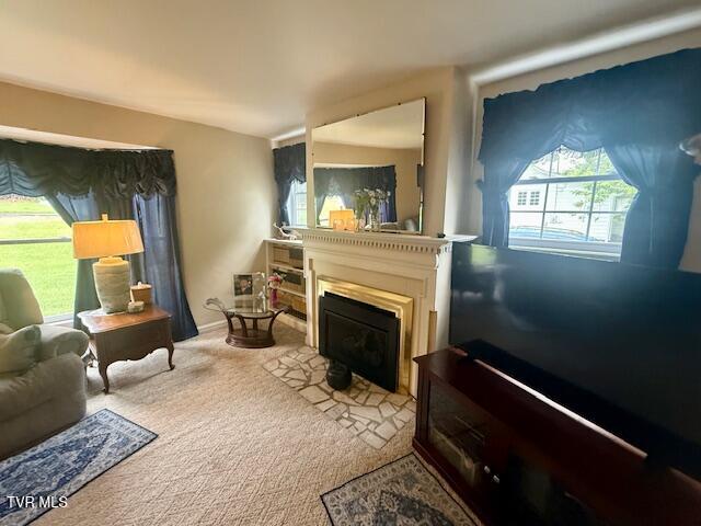 1000 King Springs Road, Johnson City, Tennessee image 18