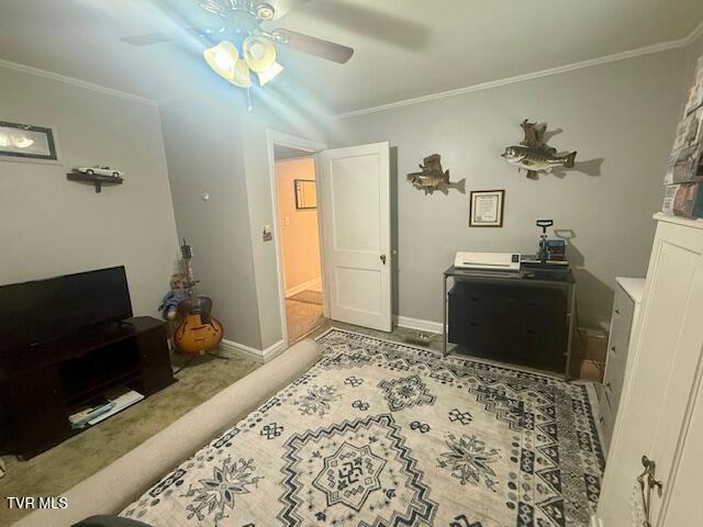 1000 King Springs Road, Johnson City, Tennessee image 35