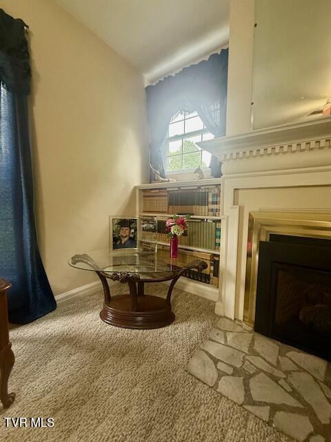 1000 King Springs Road, Johnson City, Tennessee image 22