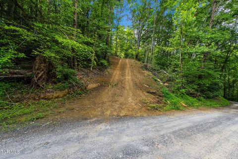 Vacant Land For Sale - TBD Longs Bend Road<br/> Rogersville, TN 37857