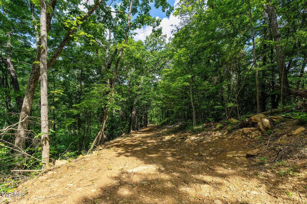 Photo of Tbd Longs Bend Road, Rogersville, TN 37857 (MLS # 9996811)