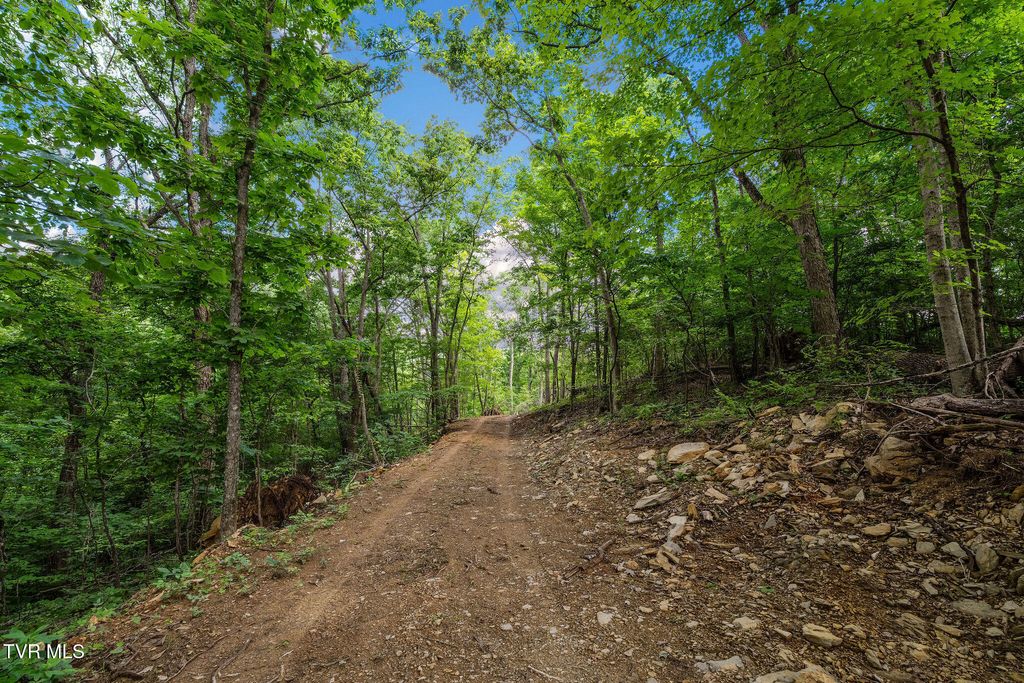 Photo of Tbd Longs Bend Road, Rogersville, TN 37857 (MLS # 9996811)