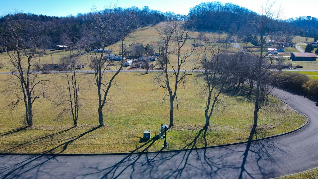 Photo of 8 Walnut Tree Drive, Church Hill, TN 37642 (MLS # 9993120)