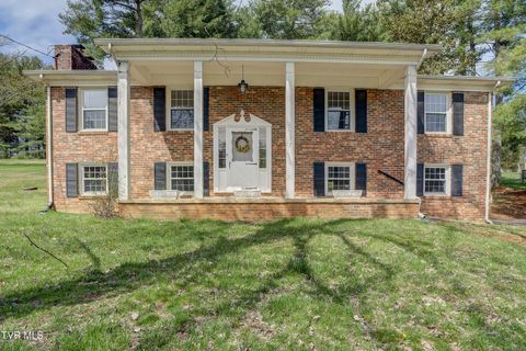Photo of 3017 Winesap Road, Kingsport, TN 37663 (MLS # 9992590)