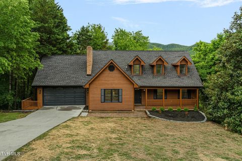 Photo of 143 Horton Ridge Road, Erwin, TN 37650 (MLS # 9994962)