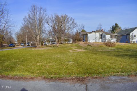 Vacant Land For Sale - TBD Lakeview Street<br/> Bristol, TN 37620