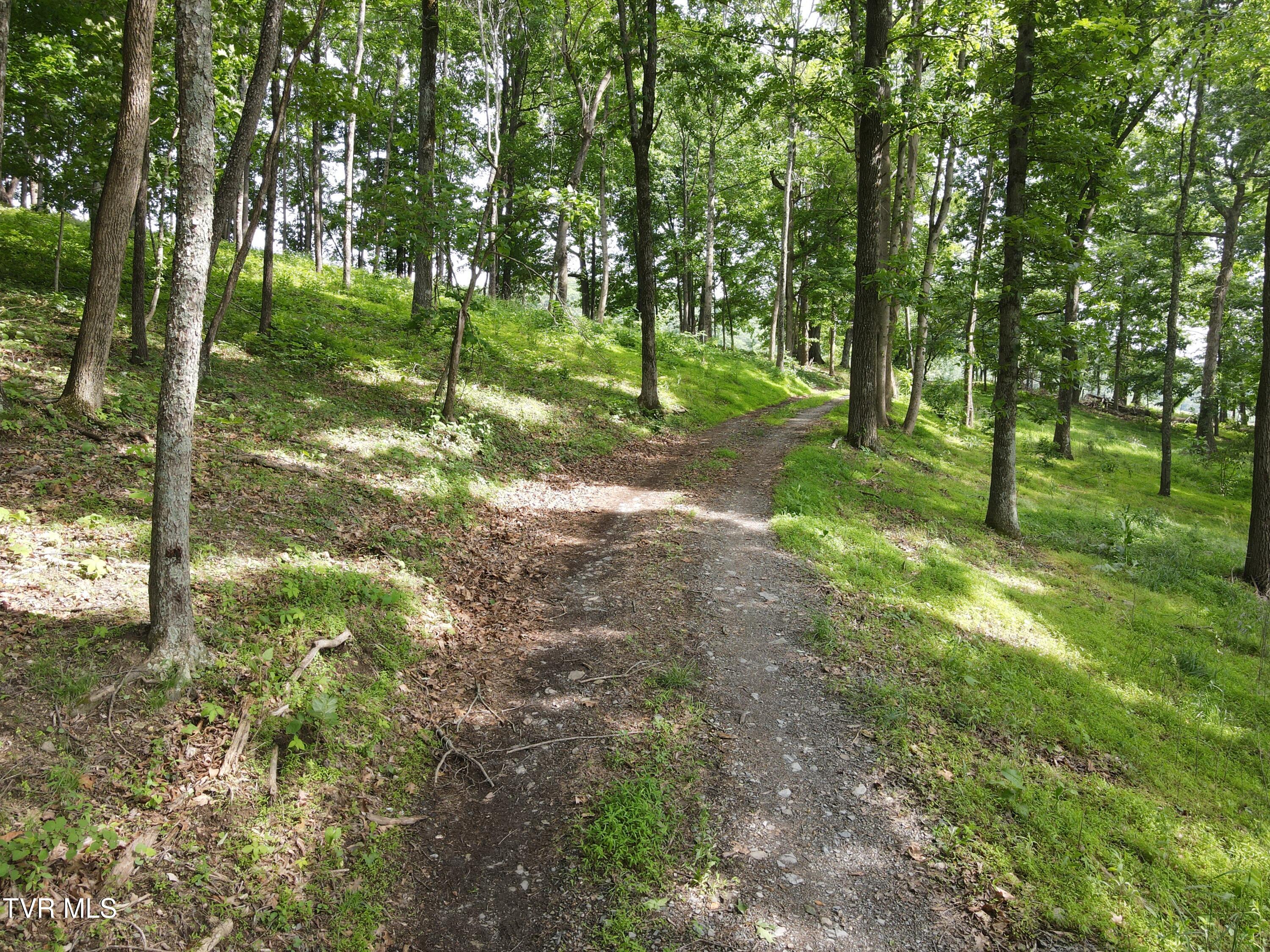 Tbd Hales Chapel Rd, Jonesborough, Tennessee image 20