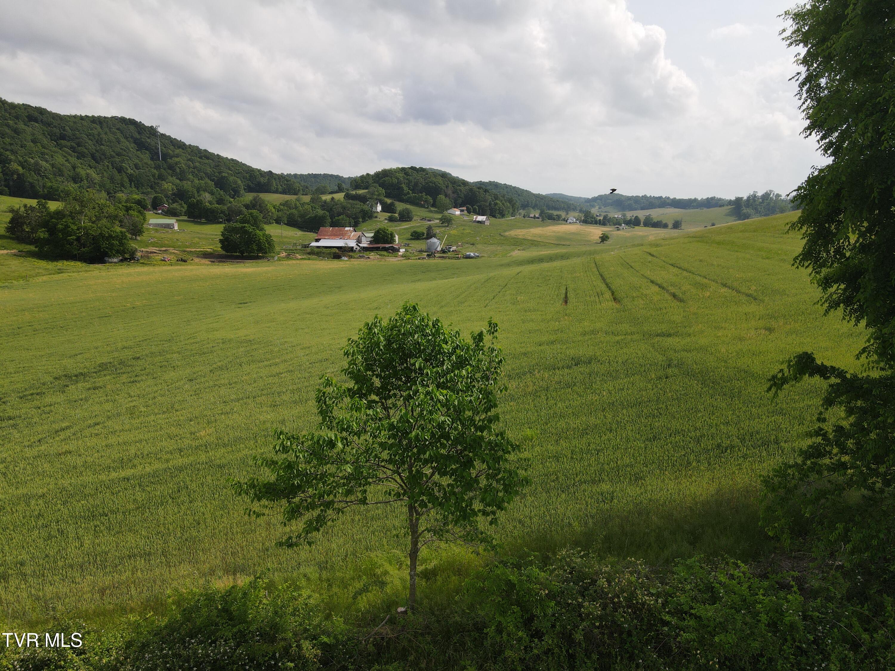 Tbd Hales Chapel Rd, Jonesborough, Tennessee image 4
