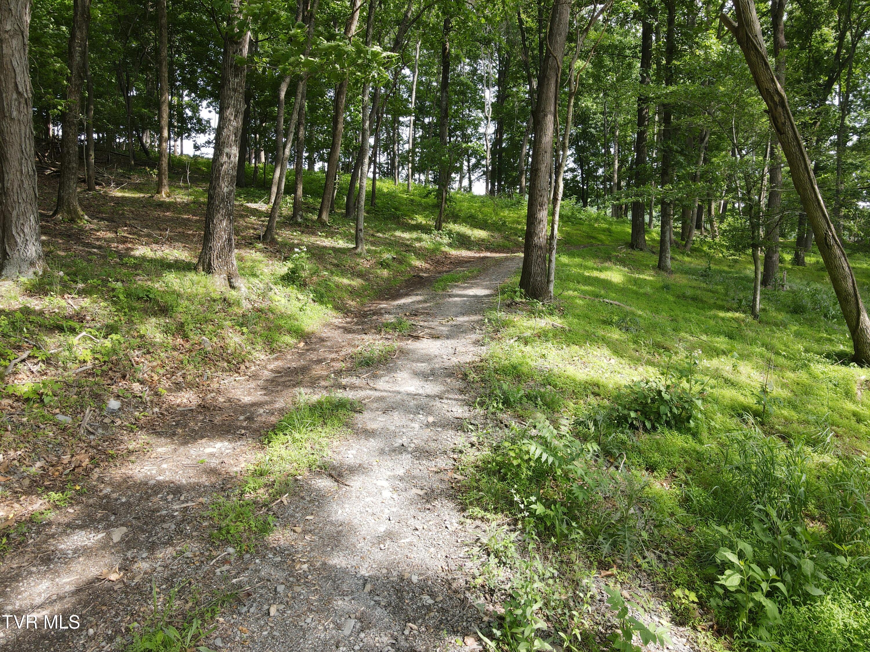 Tbd Hales Chapel Rd, Jonesborough, Tennessee image 21