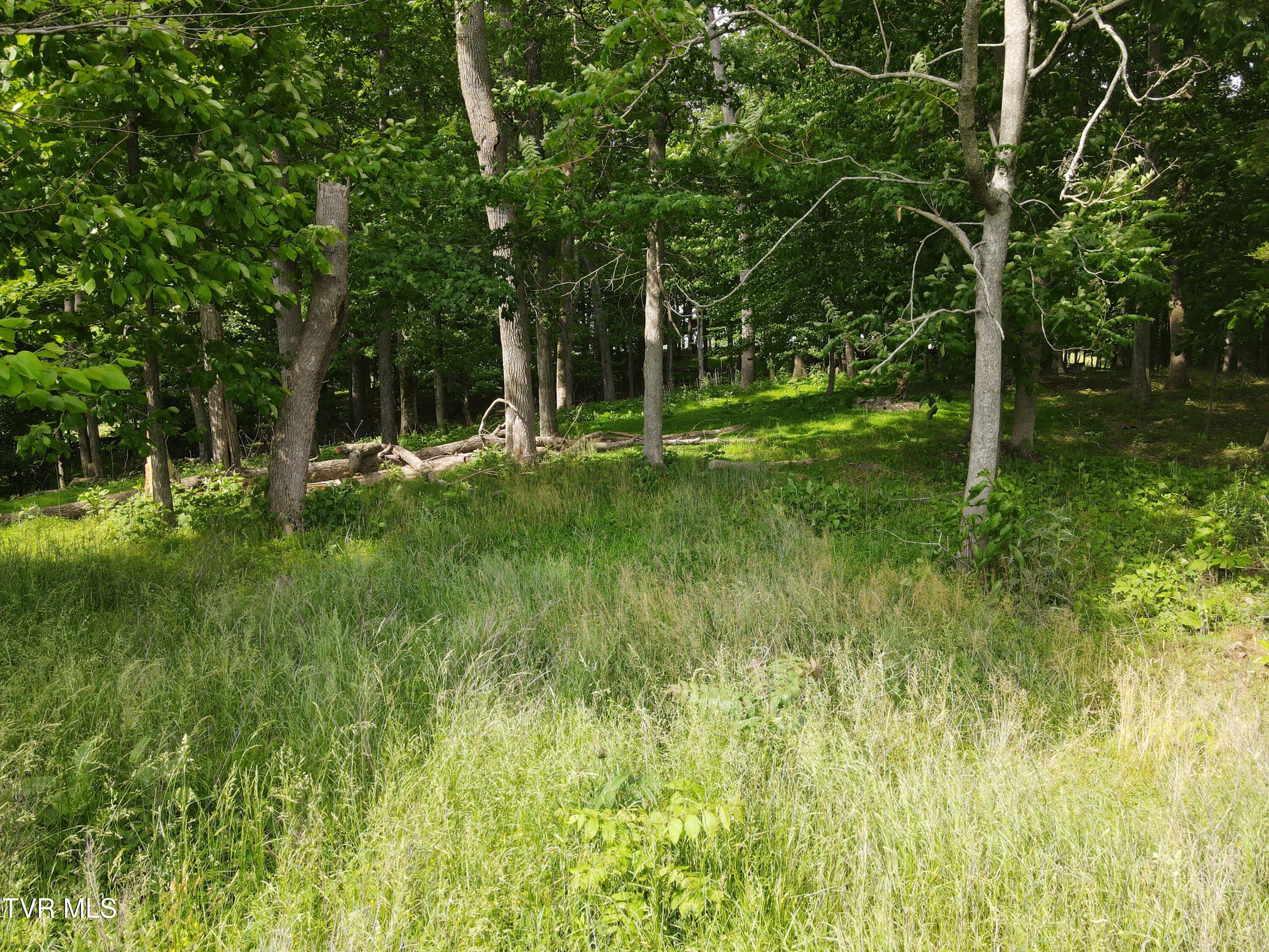 Tbd Hales Chapel Rd, Jonesborough, Tennessee image 14