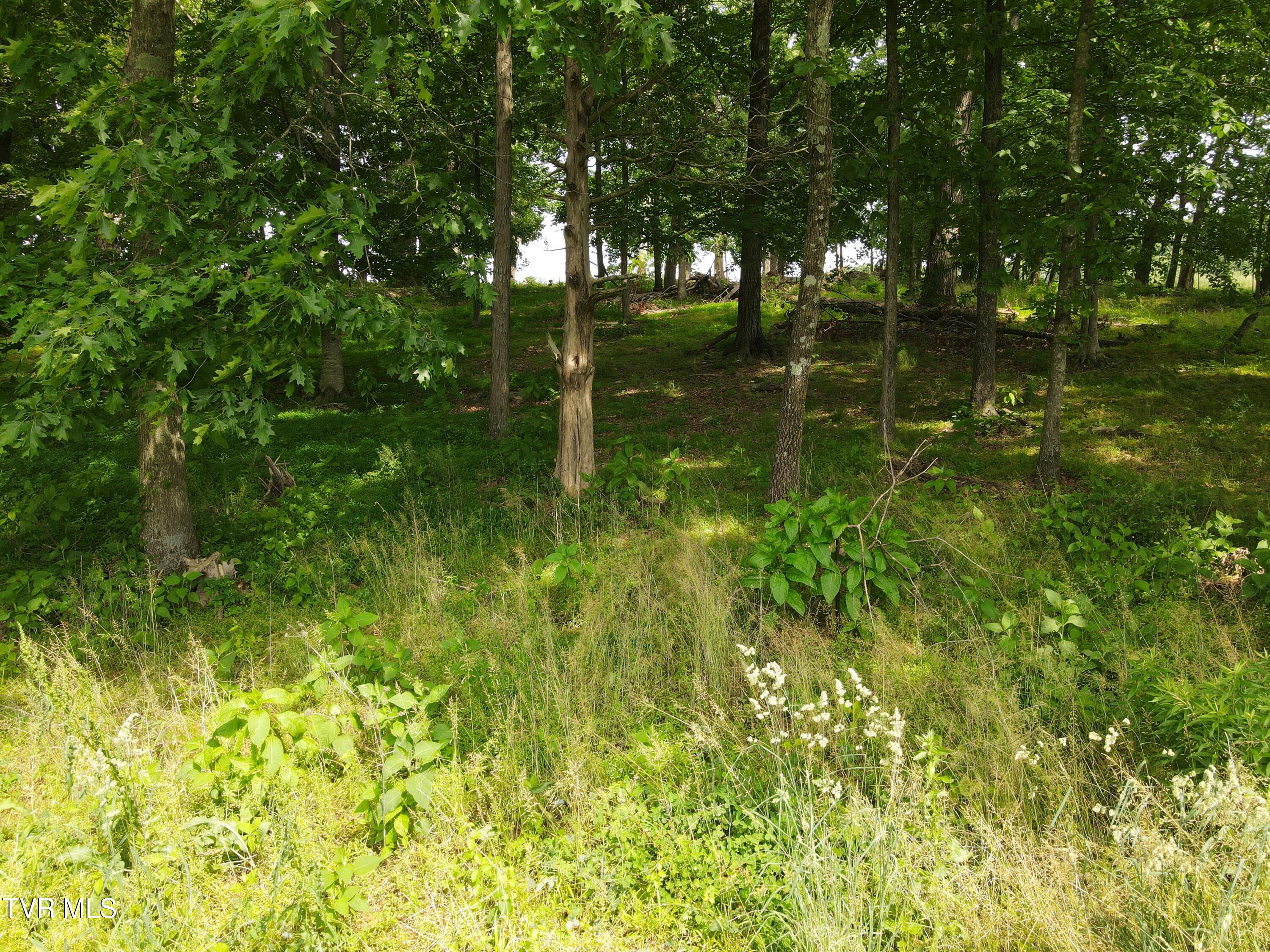 Tbd Hales Chapel Rd, Jonesborough, Tennessee image 22