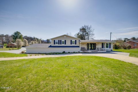 1320 Silver Grove Road Bluff City TN 37618