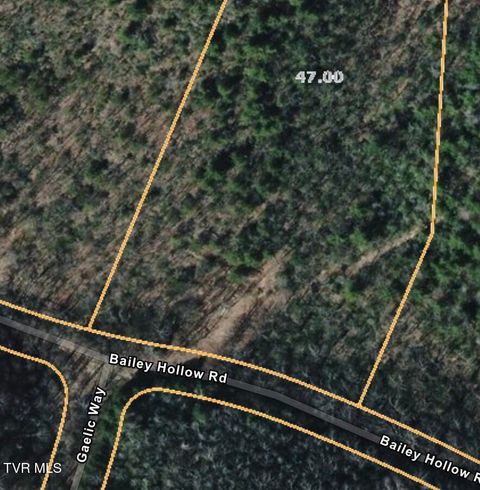 Vacant Land For Sale - LOT 4 Bailey Hollow Rd. Road<br/> Unicoi County, Erwin, TN 37650