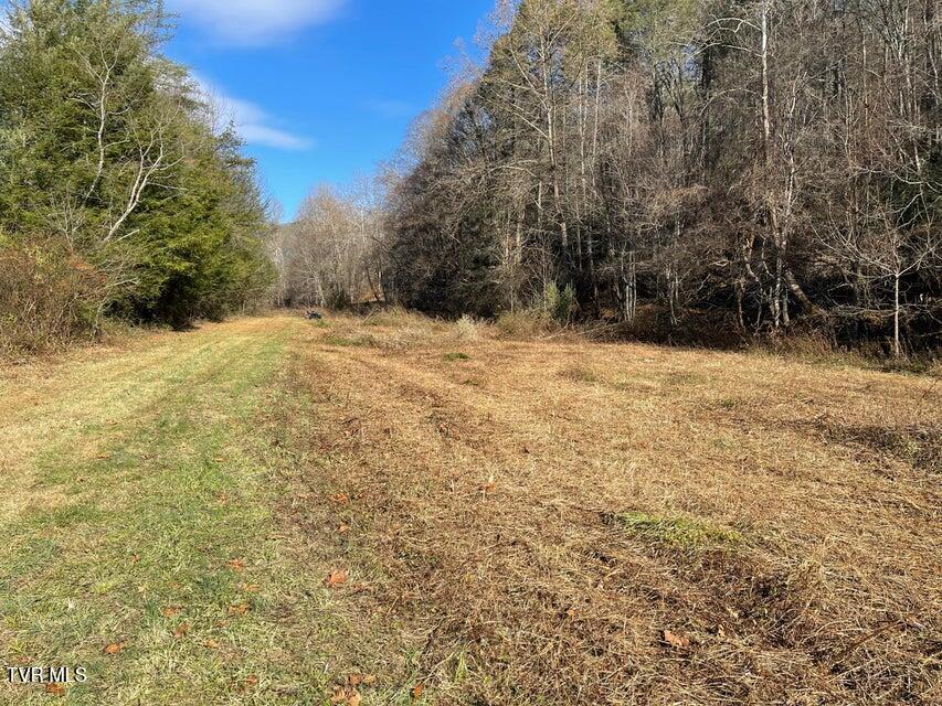 00 Off Roan Creek Road, Butler, Tennessee image 4