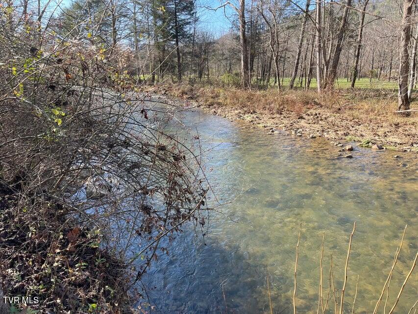 00 Off Roan Creek Road, Butler, Tennessee image 2