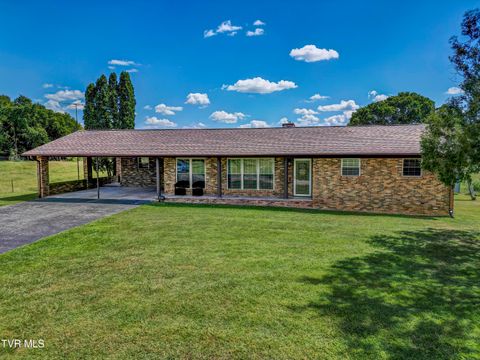 485 Pates Hill Road Mosheim TN 37818