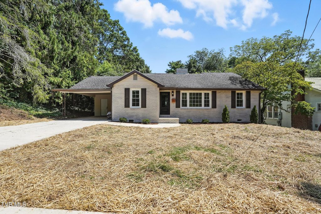 Photo of 1208 Baxter Street Street, Johnson City, TN 37601 (MLS # 9984214)