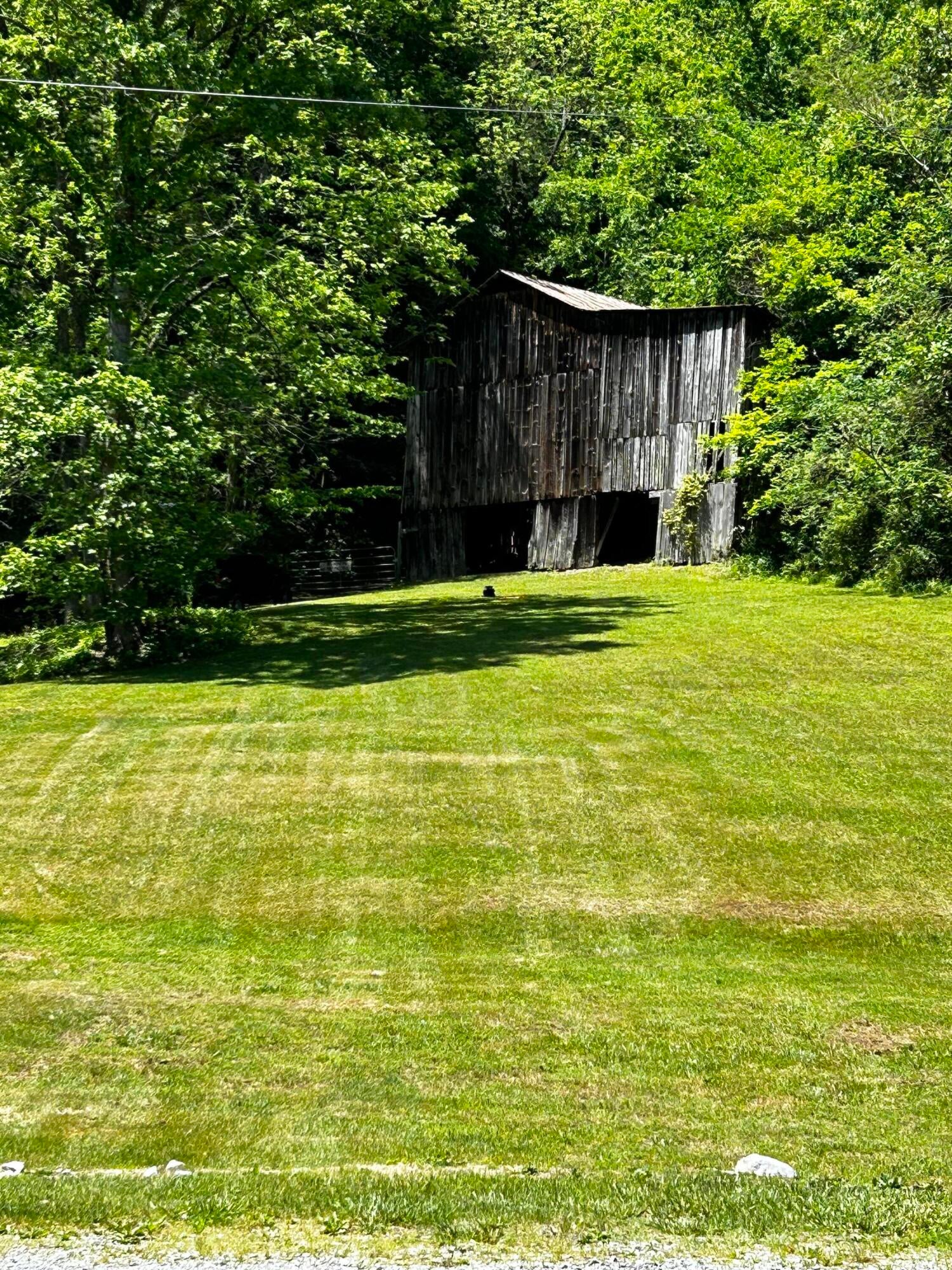 Tbd Old Asheville Hwy - Photo 2