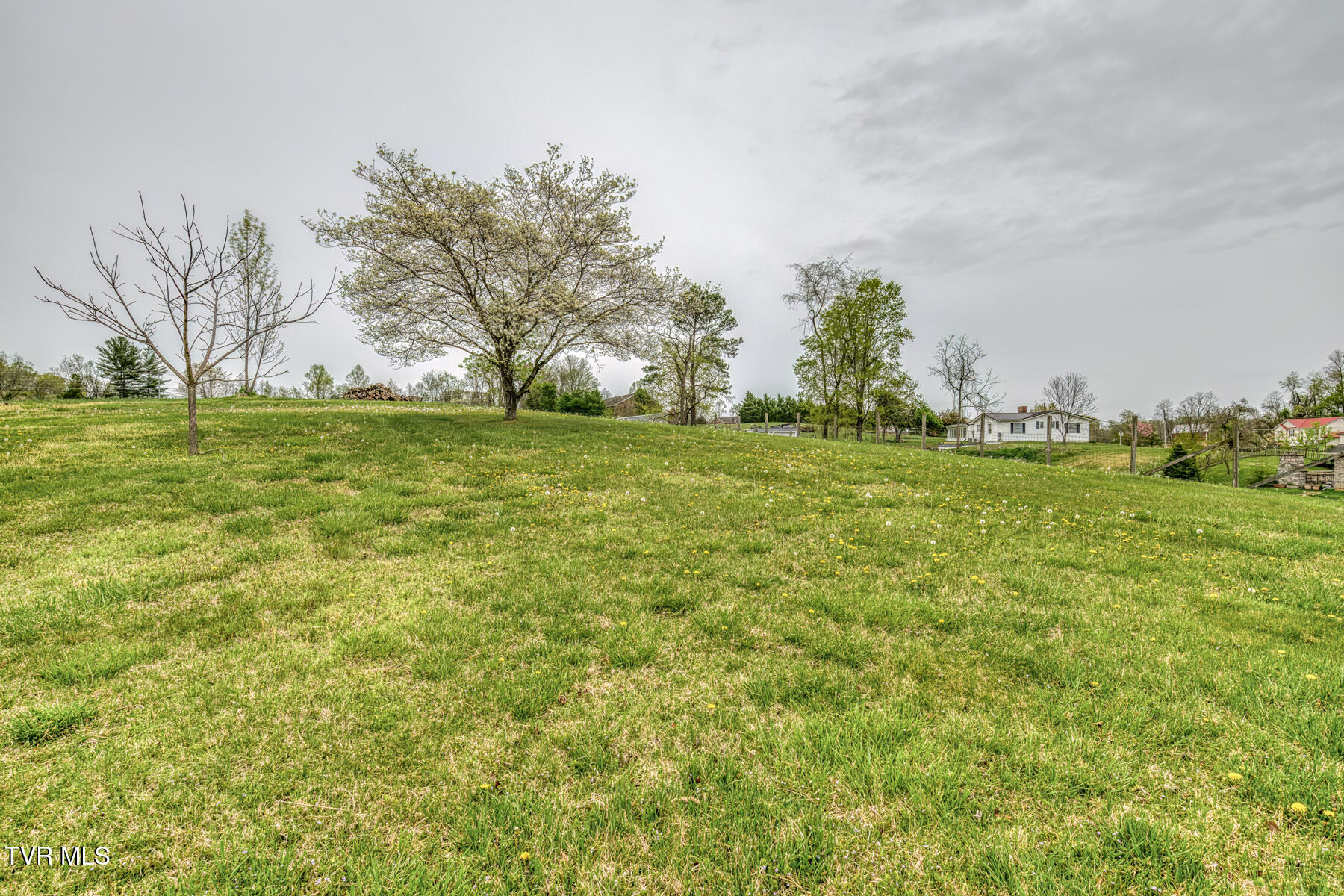 204 Rainbow Drive Drive, Jonesborough, Tennessee image 23