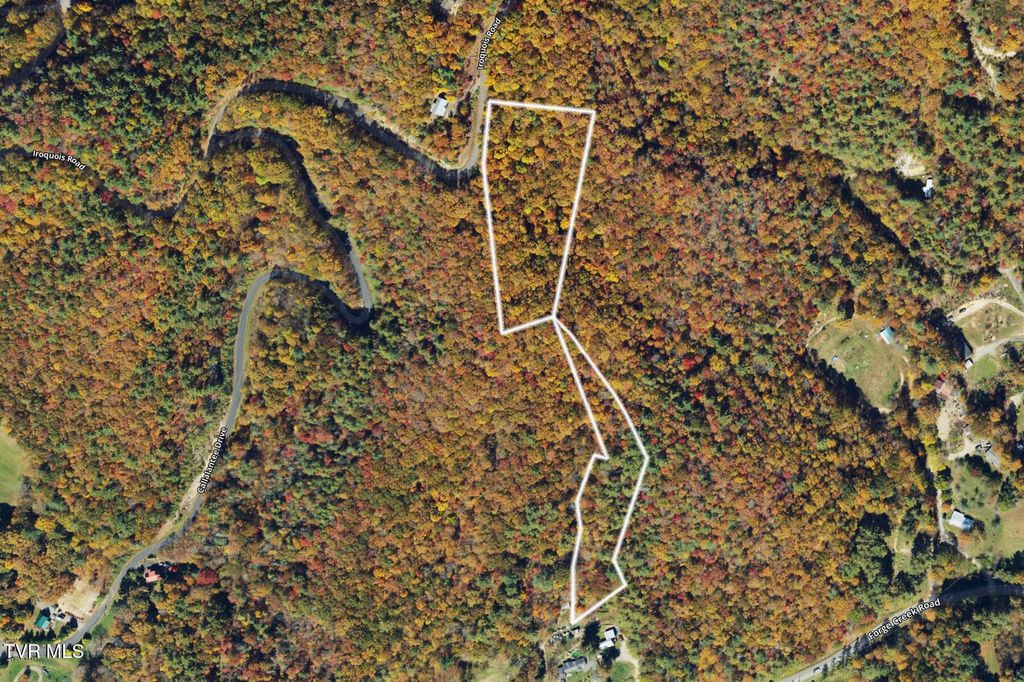 Photo of 00 Iroquois Road, Mountain City, TN 37683 (MLS # 9998306)