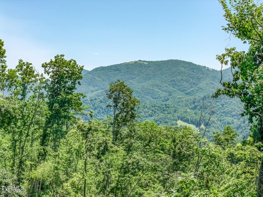 IROQUOIS RD, MOUNTAIN CITY, TN 37683 - Image fdb4fa5044331e3841bdd4f3621c3c4e/1576013268