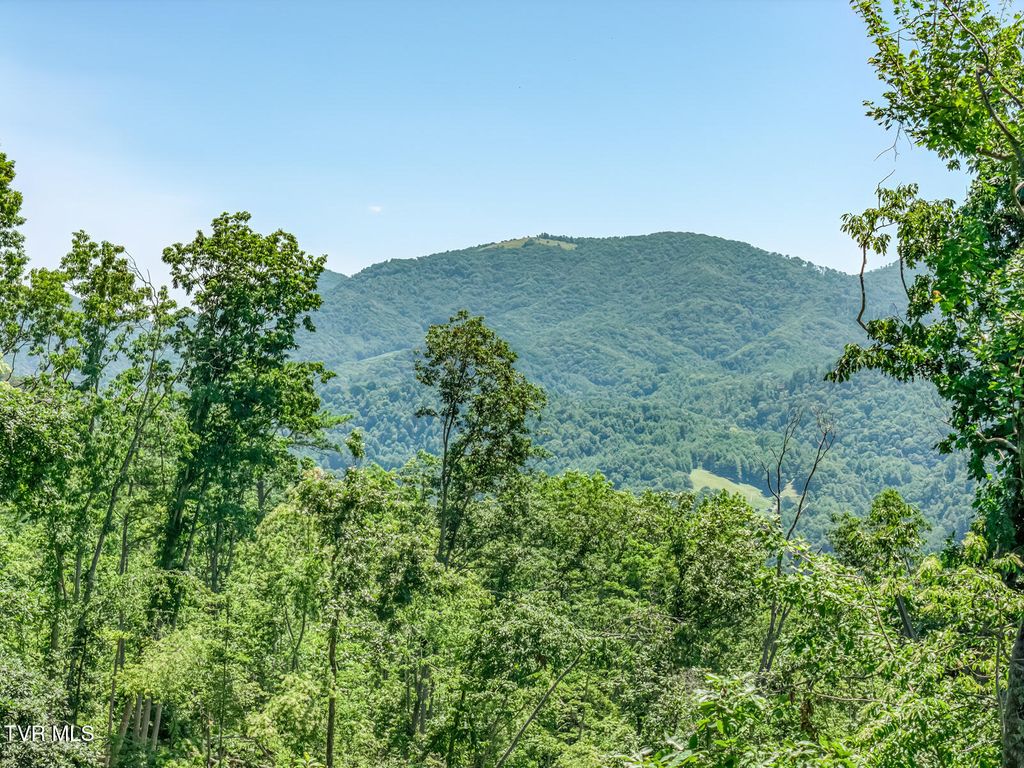 Photo of 00 Iroquois Road, Mountain City, TN 37683 (MLS # 9998306)
