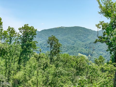 Vacant Land For Sale - 00 Iroquois Road<br/> Johnson County, Mountain City, TN 37683