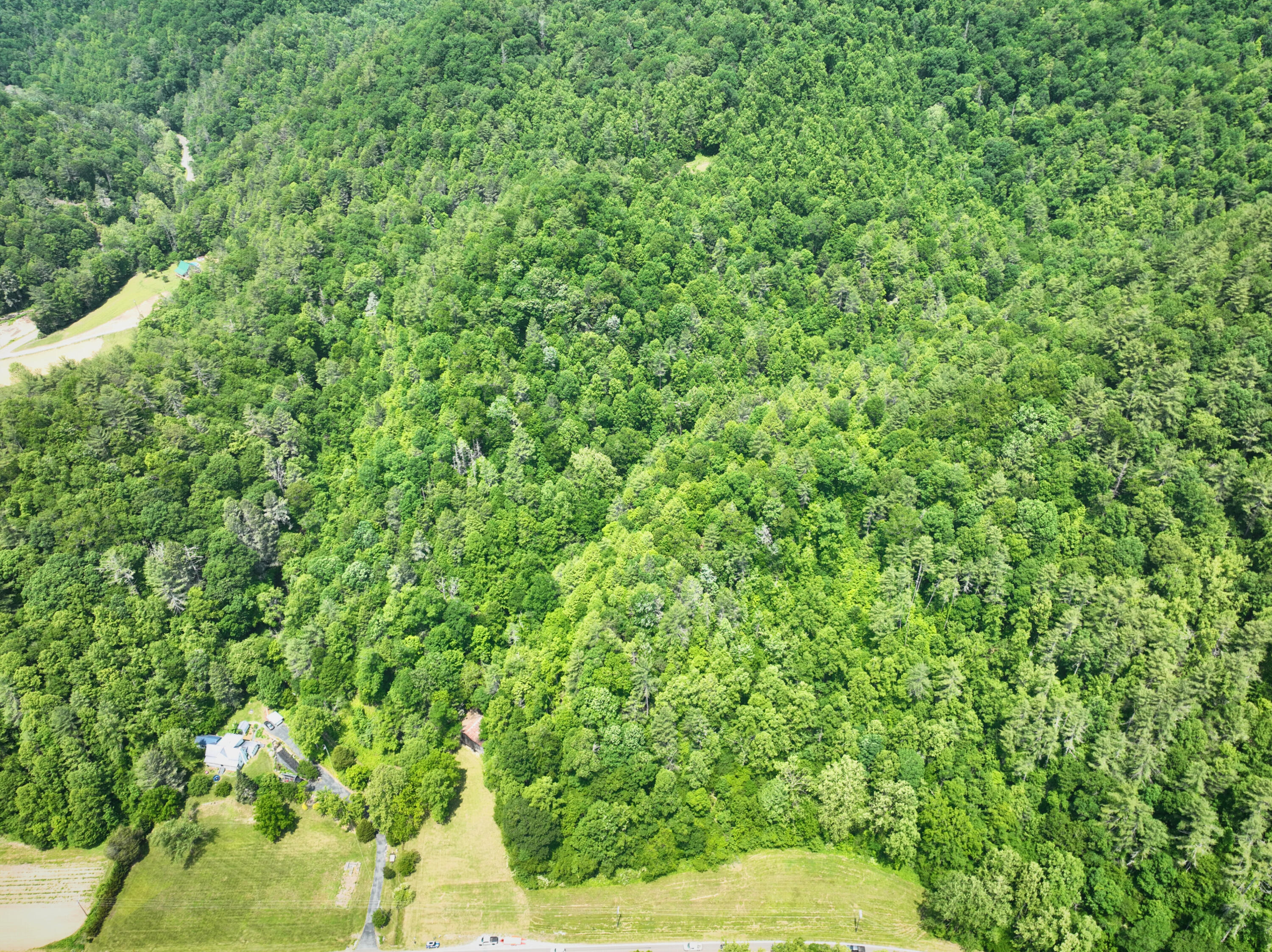 Tbd Old Asheville Hwy, Erwin, Tennessee image 18