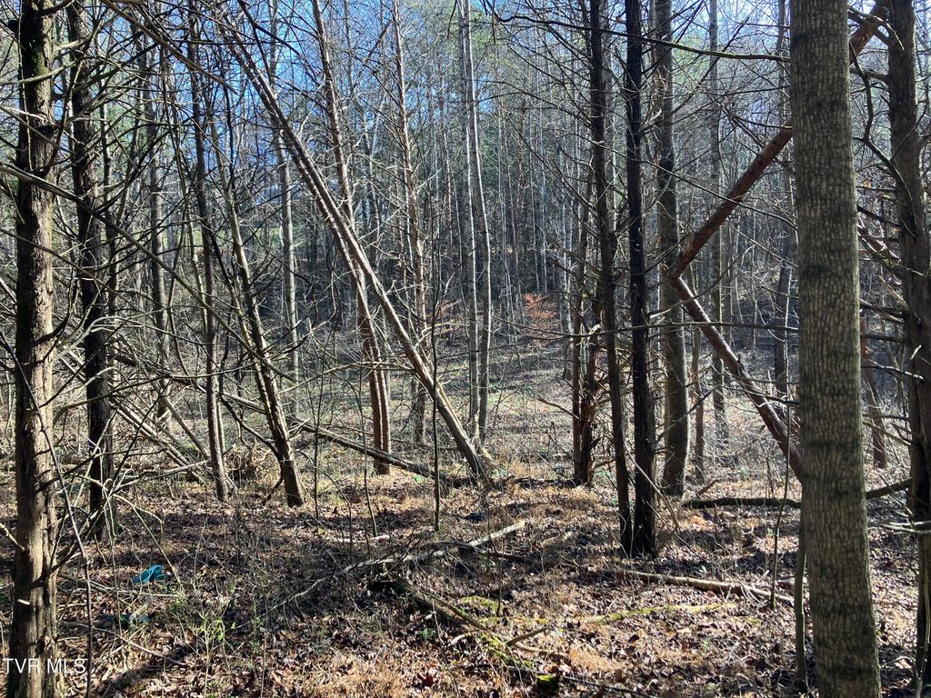 Photo of Tbd Cherokee Road, Jonesborough, TN 37659 (MLS # 9988815)